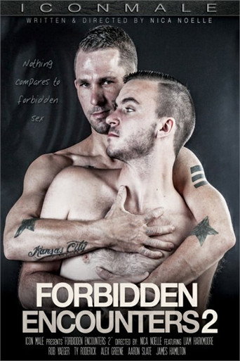Forbidden Encounters 2 movie poster