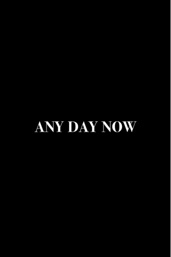Any Day Now movie poster