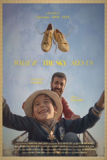What If The Sky Sees Us? movie poster