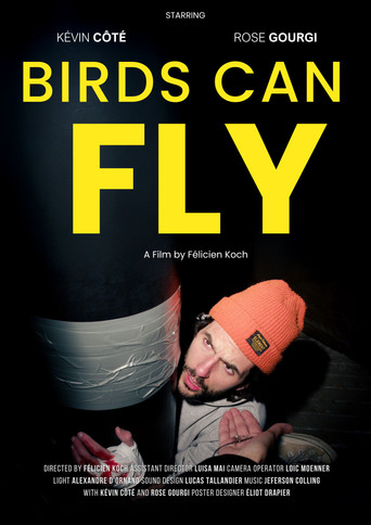 Birds can fly movie poster