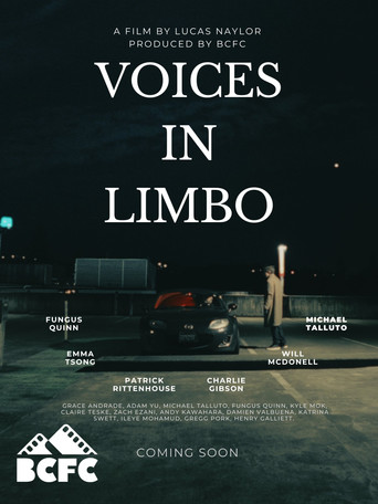Voices In Limbo movie poster