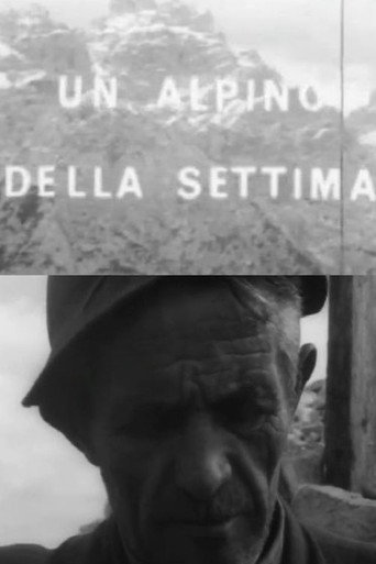 Un alpino della settima movie poster