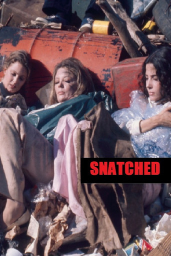 Snatched movie poster