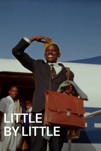 Little by Little movie poster