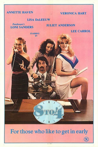 8 to 4 movie poster