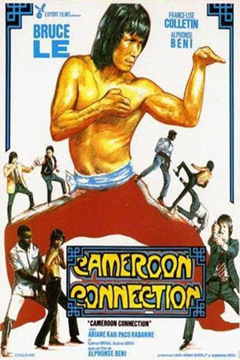 Cameroon Connection movie poster