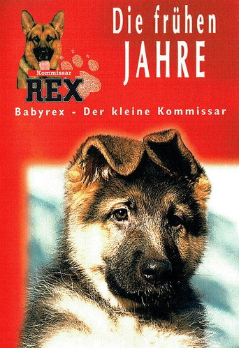 Baby Rex movie poster