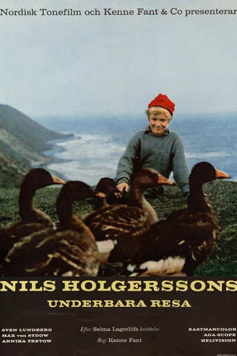 Wonderful Adventures of Nils movie poster