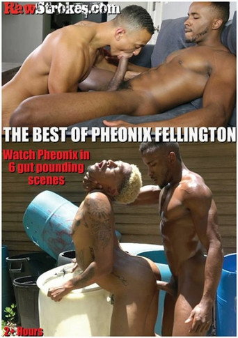 The Best of Pheonix Fellington movie poster