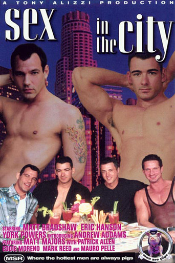 Sex in the City movie poster