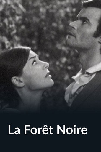 La forêt noire movie poster