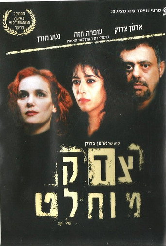 צדק מוחלט movie poster