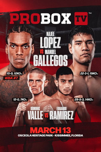 Najee Lopez vs. Manuel Gallegos movie poster