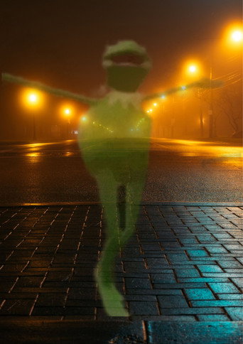 A delicate dance with god ~ {Kermit movie poster