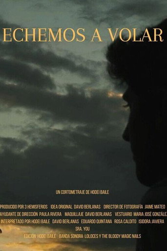 Echemos a volar movie poster
