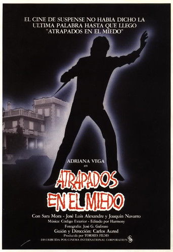 Caught in Fear movie poster