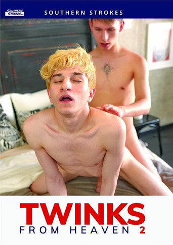 Twinks from Heaven 2 movie poster
