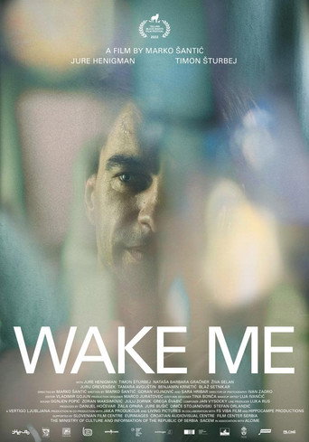 Wake Me movie poster