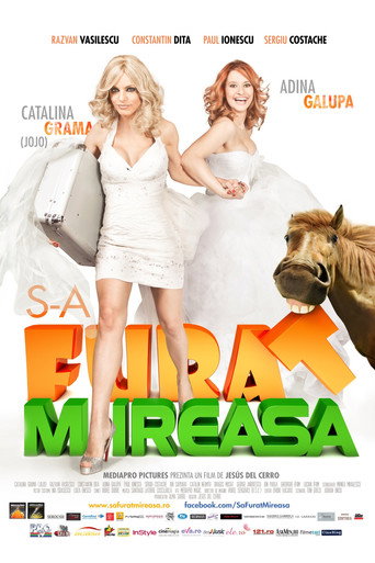 They stole the bride movie poster