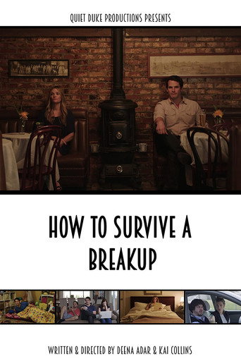 How to Survive a Breakup movie poster