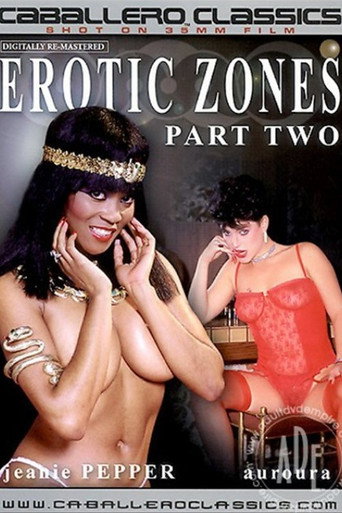 Erotic Zones 2 movie poster