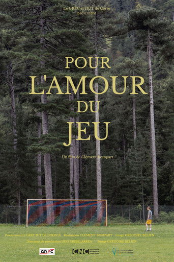 For the Love of the Game movie poster