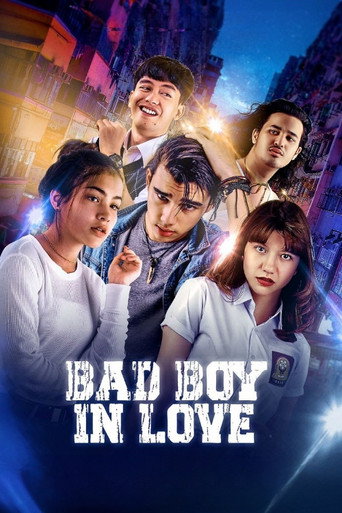 Bad Boy In Love movie poster