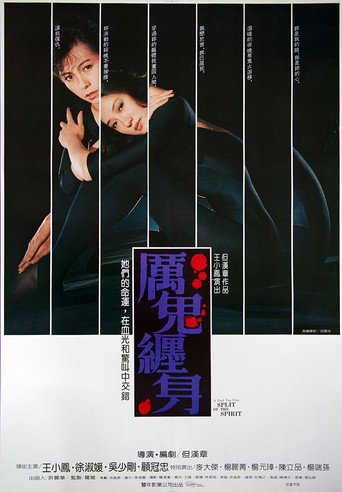 Split of the Spirit movie poster