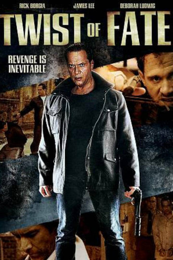 Twists of Fate movie poster