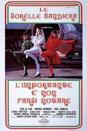 L'importante è non farsi notare movie poster