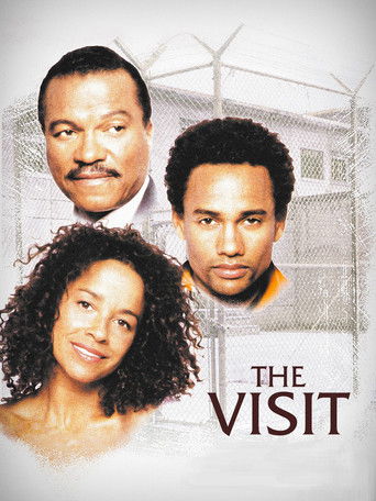The Visit movie poster