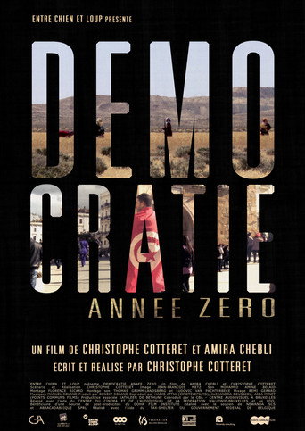 Démocratie Année Zéro movie poster