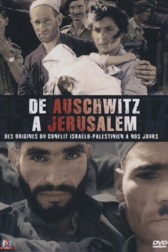 De Auschwitz à Jérusalem movie poster