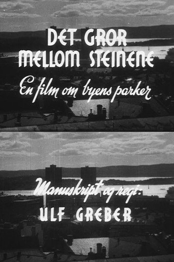 Oslofilm: Det gror mellom steinene movie poster