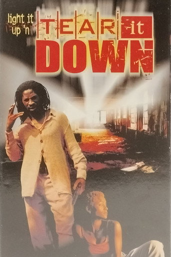 Tear It Down movie poster