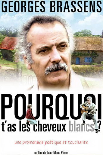 Pourquoi t'as les cheveux blancs... movie poster