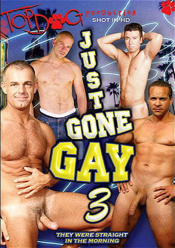 Just Gone Gay 3 movie poster