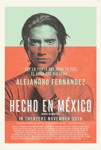 Made in Mexico movie poster