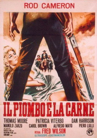Bullet in the Flesh movie poster