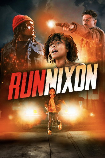 RUN NIXON movie poster