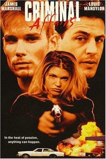 Criminal Affairs movie poster