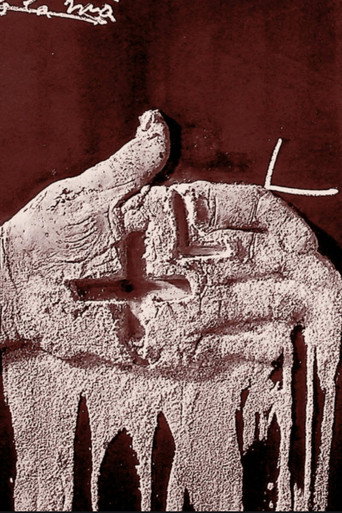 Homage to Tàpies movie poster