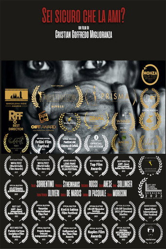 Sei sicuro che la ami? movie poster