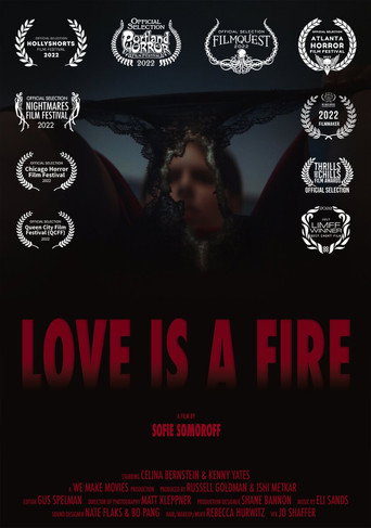 Love is a Fire movie poster