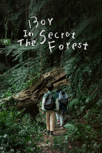 Boy in the Secret Forest movie poster