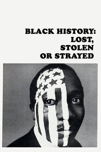 Black History: Lost, Stolen or Strayed movie poster