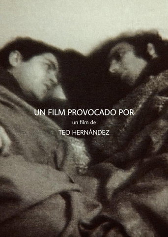 Un Film Provocado Por movie poster