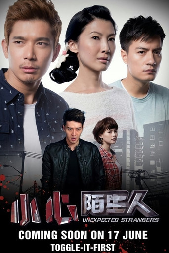 Unexpected Strangers movie poster