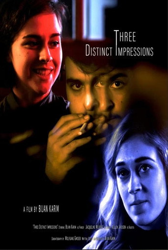 Three Distinct Impressions movie poster