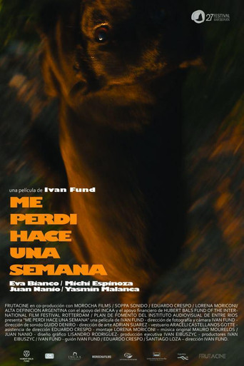 Me perdí hace una semana movie poster